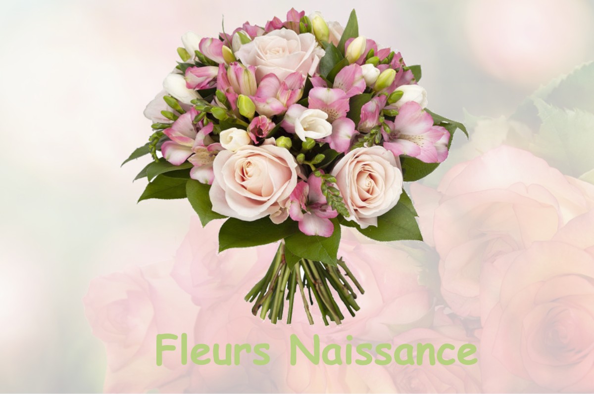 fleurs naissance LABASTIDETTE